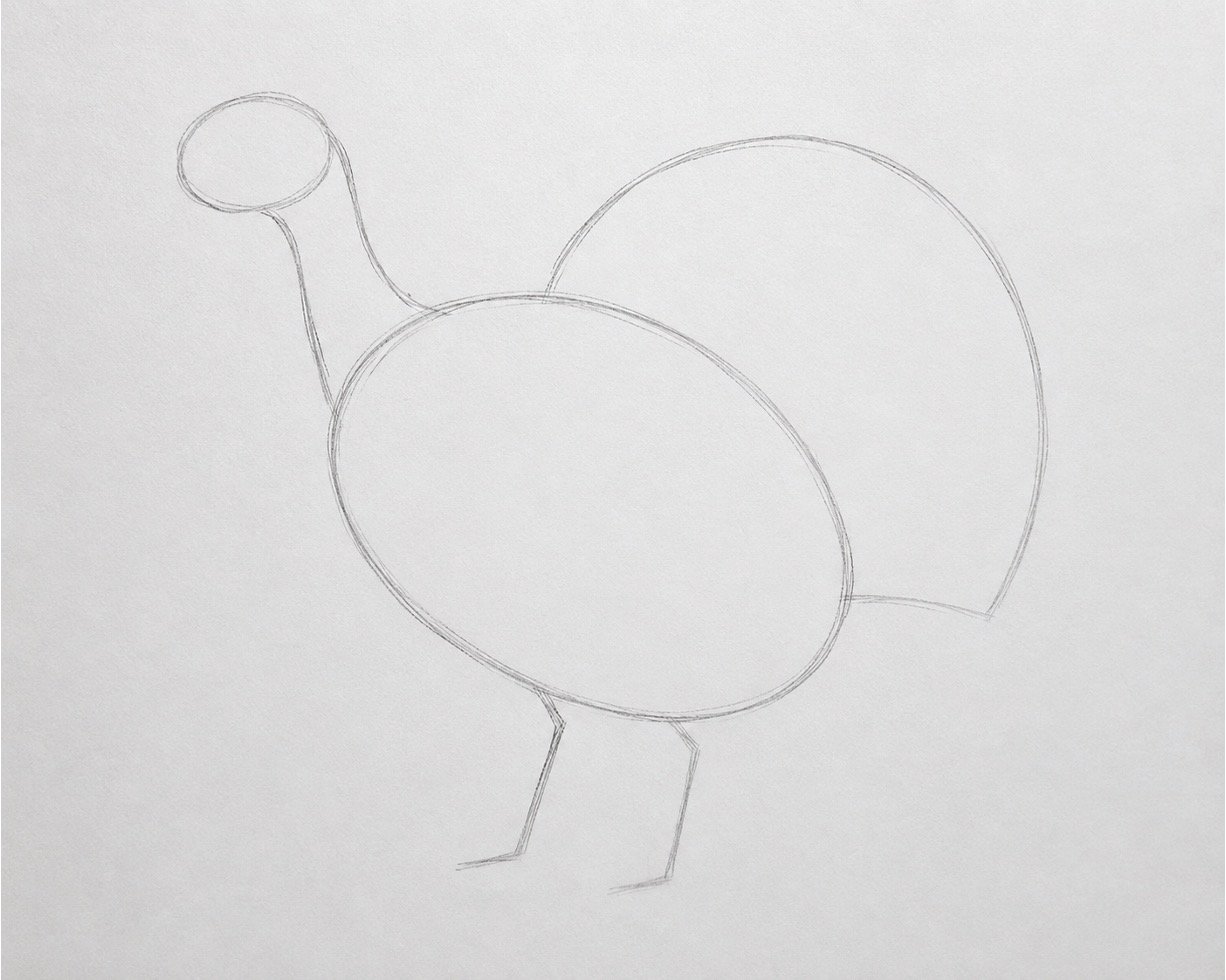Light basic shapes forming a turkey’s body, head, neck, tail, and legs.