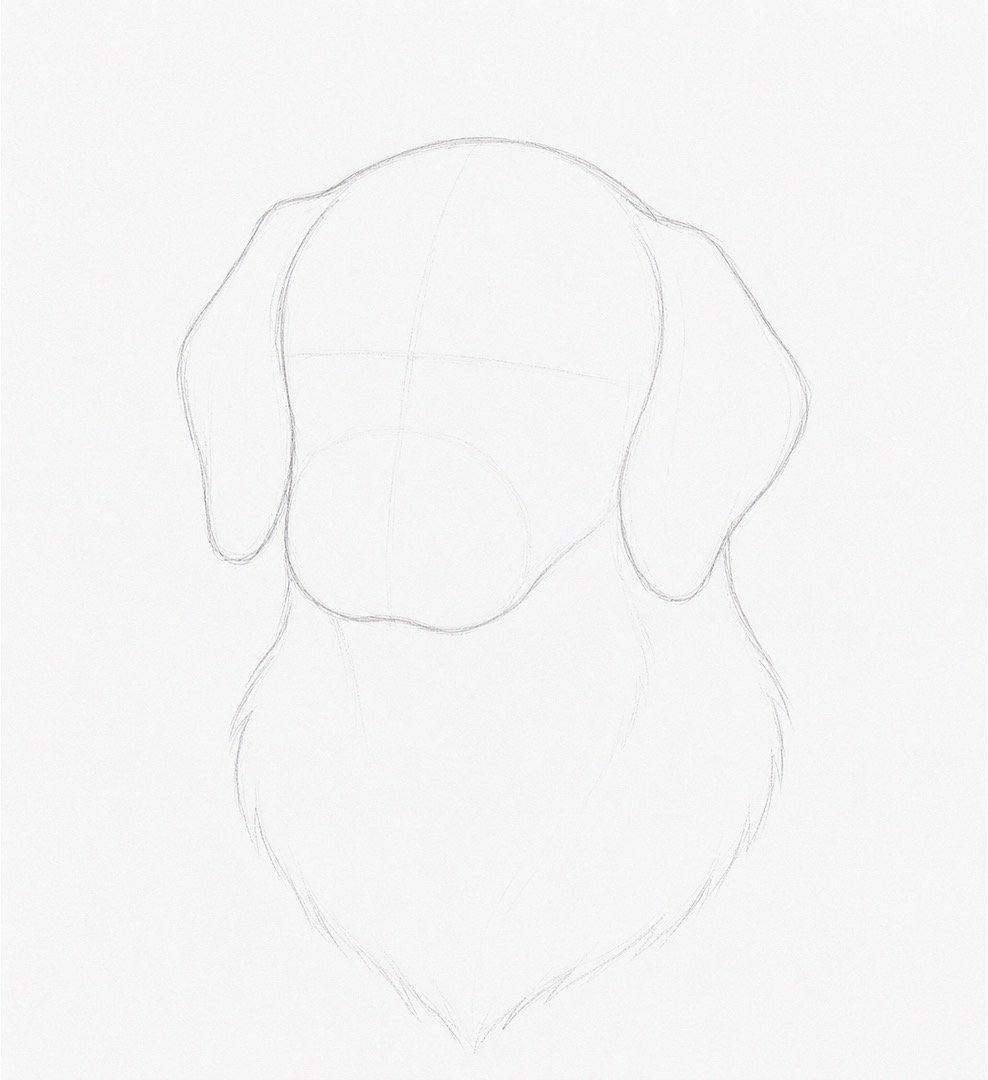 Easy Realistic Colourful Dog Drawing
