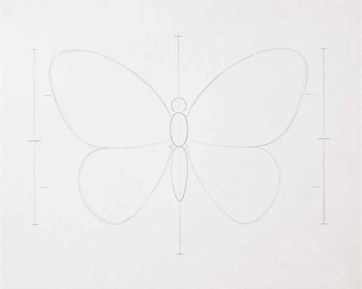 Light butterfly construction sketch made from a body line, ovals, and four simple wing shapes.