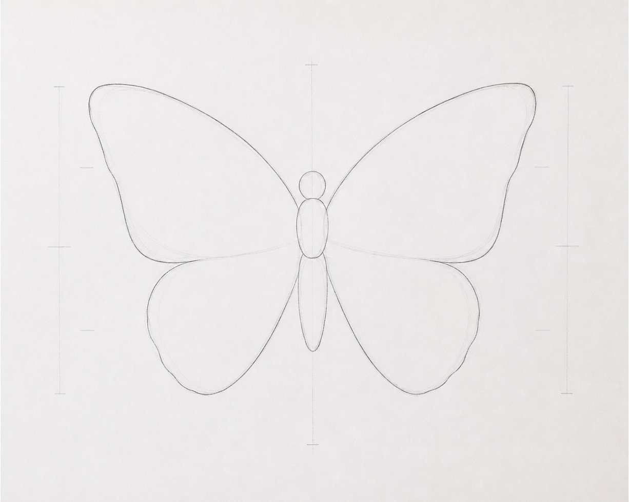 Refined butterfly outline with smooth wing contours and the original guidelines partly erased.