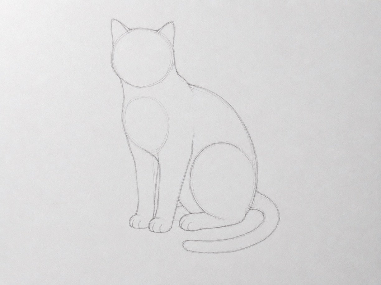 Refined contour drawing of a seated cat with construction lines partly erased.