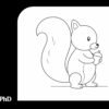 Cute Squirrel Drawing in 8 Easy Steps for Complete Beginners