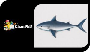 Easy Realistic Shark Drawing in Colour 1