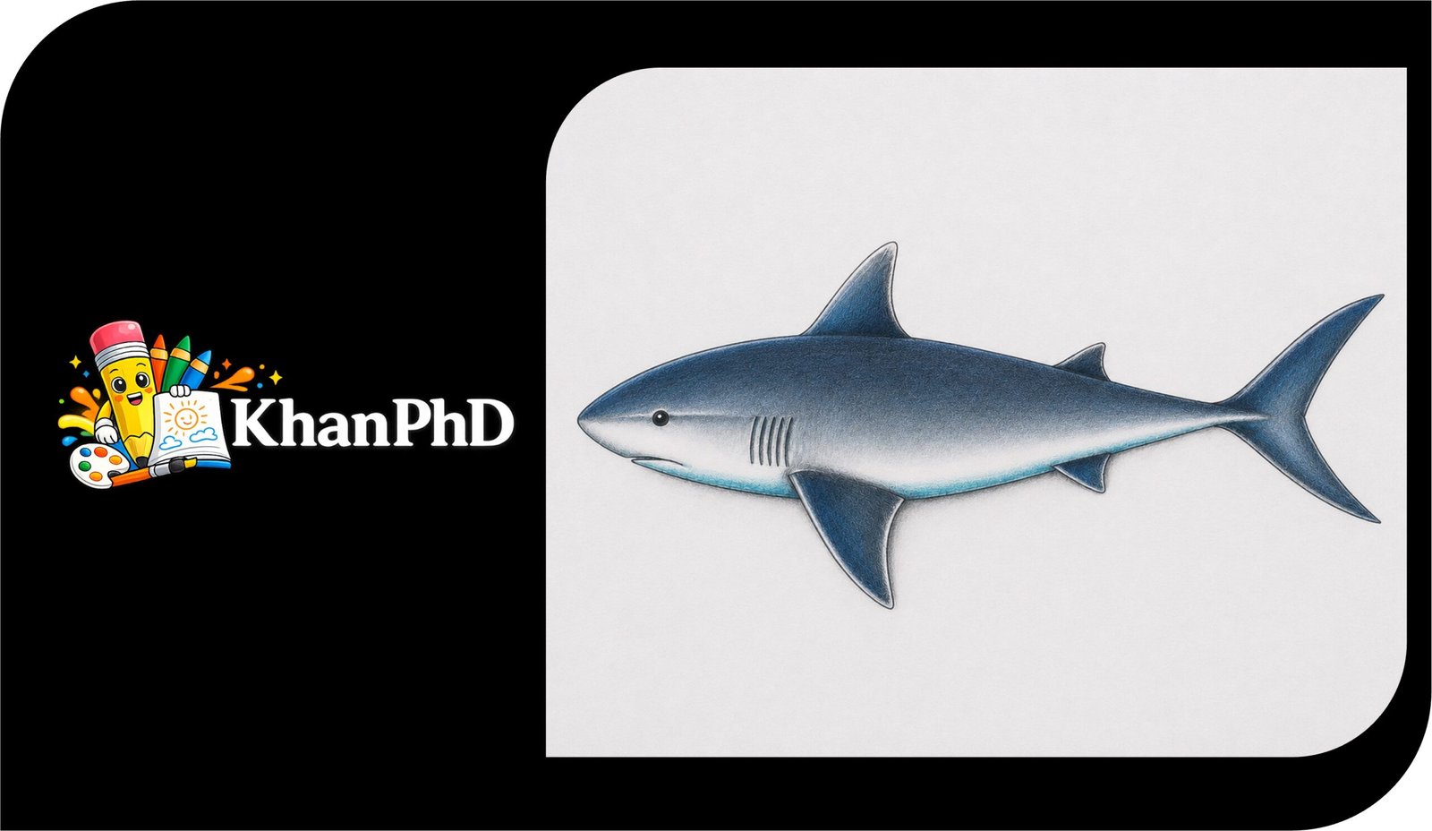 Easy Realistic Shark Drawing in Colour 1