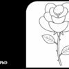 Easy Rose Drawing for Beginners: 8 Simple Steps Anyone Can Follow
