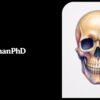 Realistic Colourful Skull Drawing