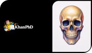 Realistic Colourful Skull Drawing