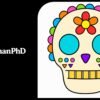 Skull Drawing with Colour